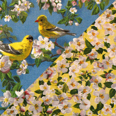 ·Fabric Collection· Birds